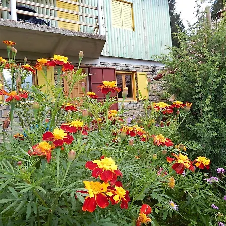 Smreka Appartement *