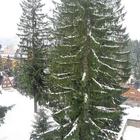 Appartement Smreka *